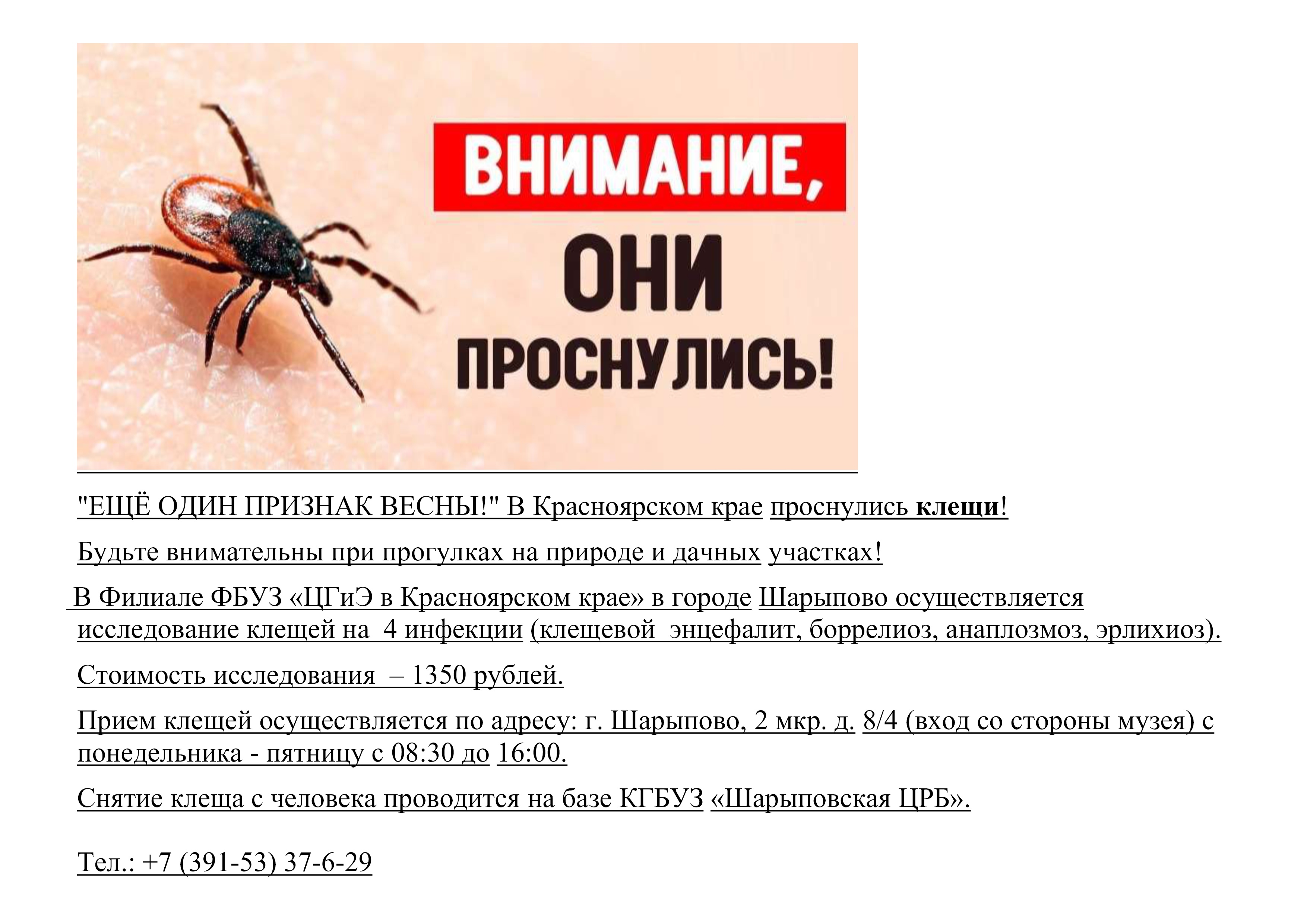 Исследования клещей