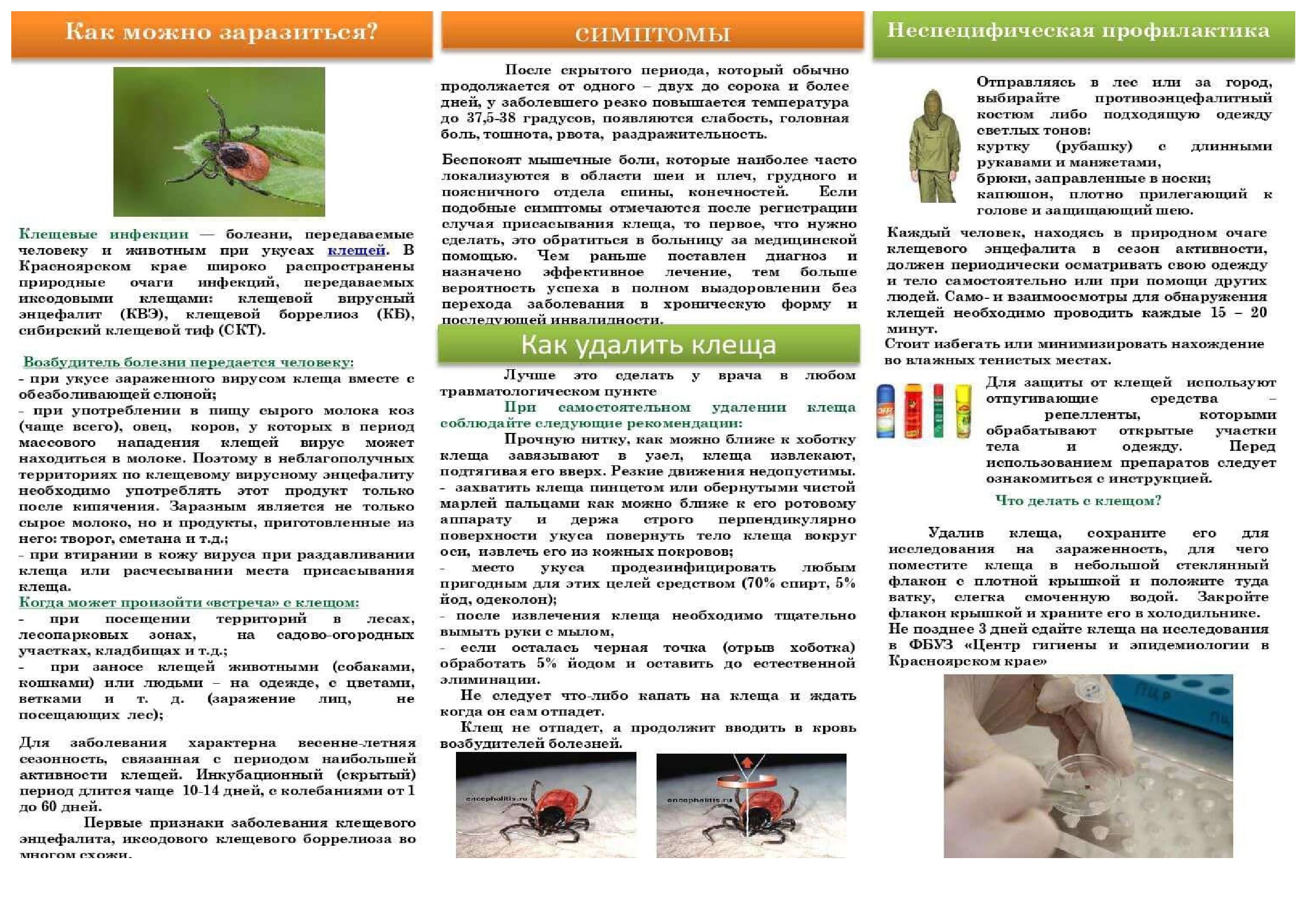Клещевые инфекции