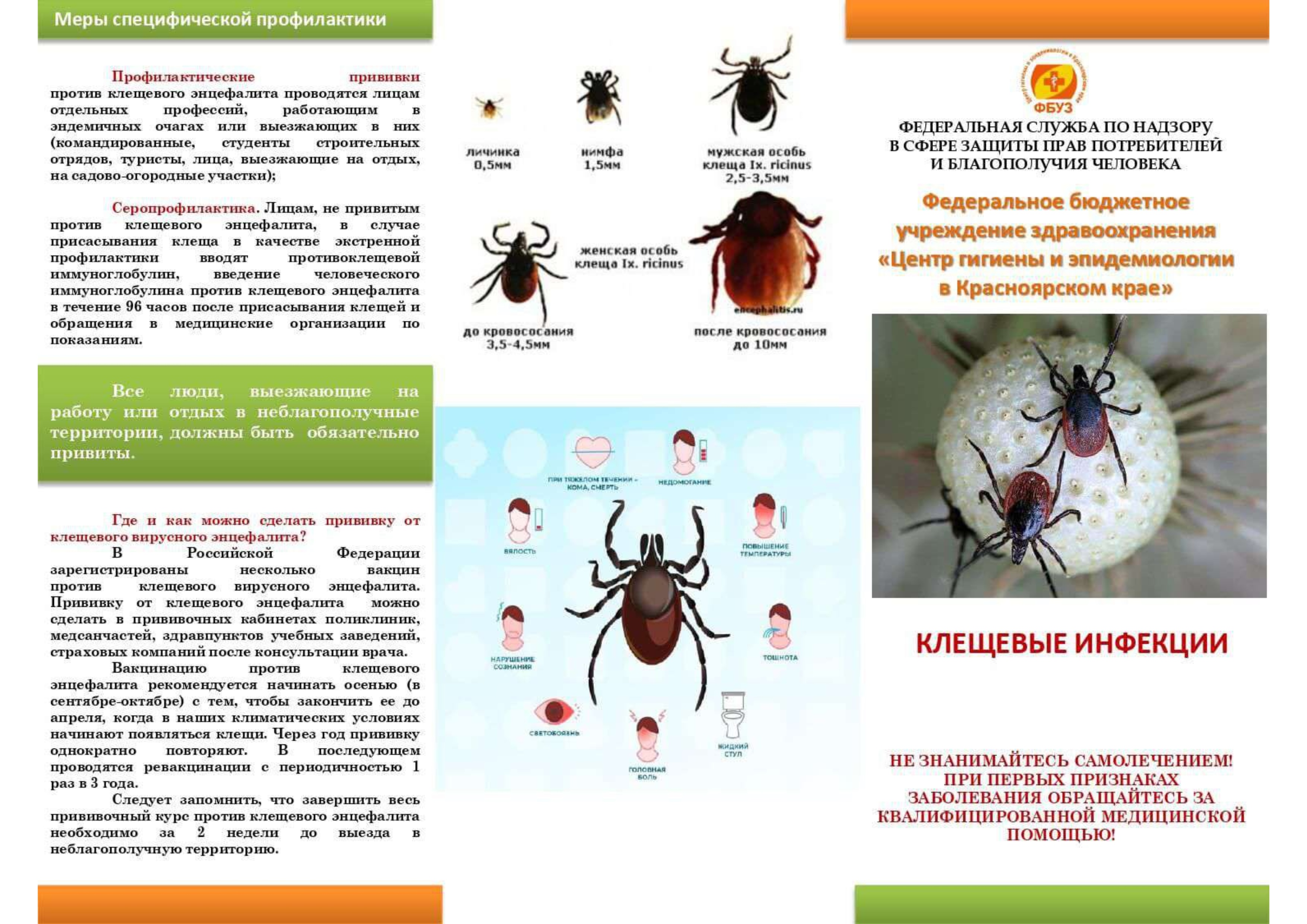 Клещевые инфекции